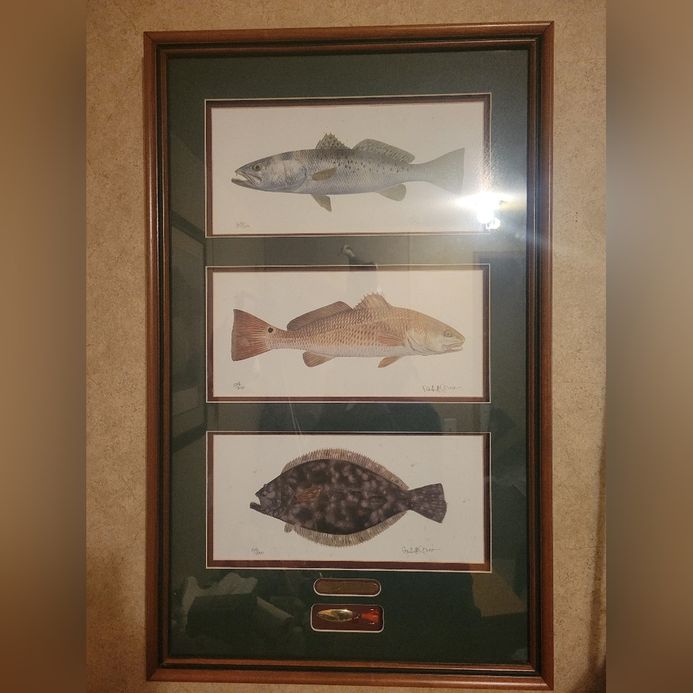 Fish framed art